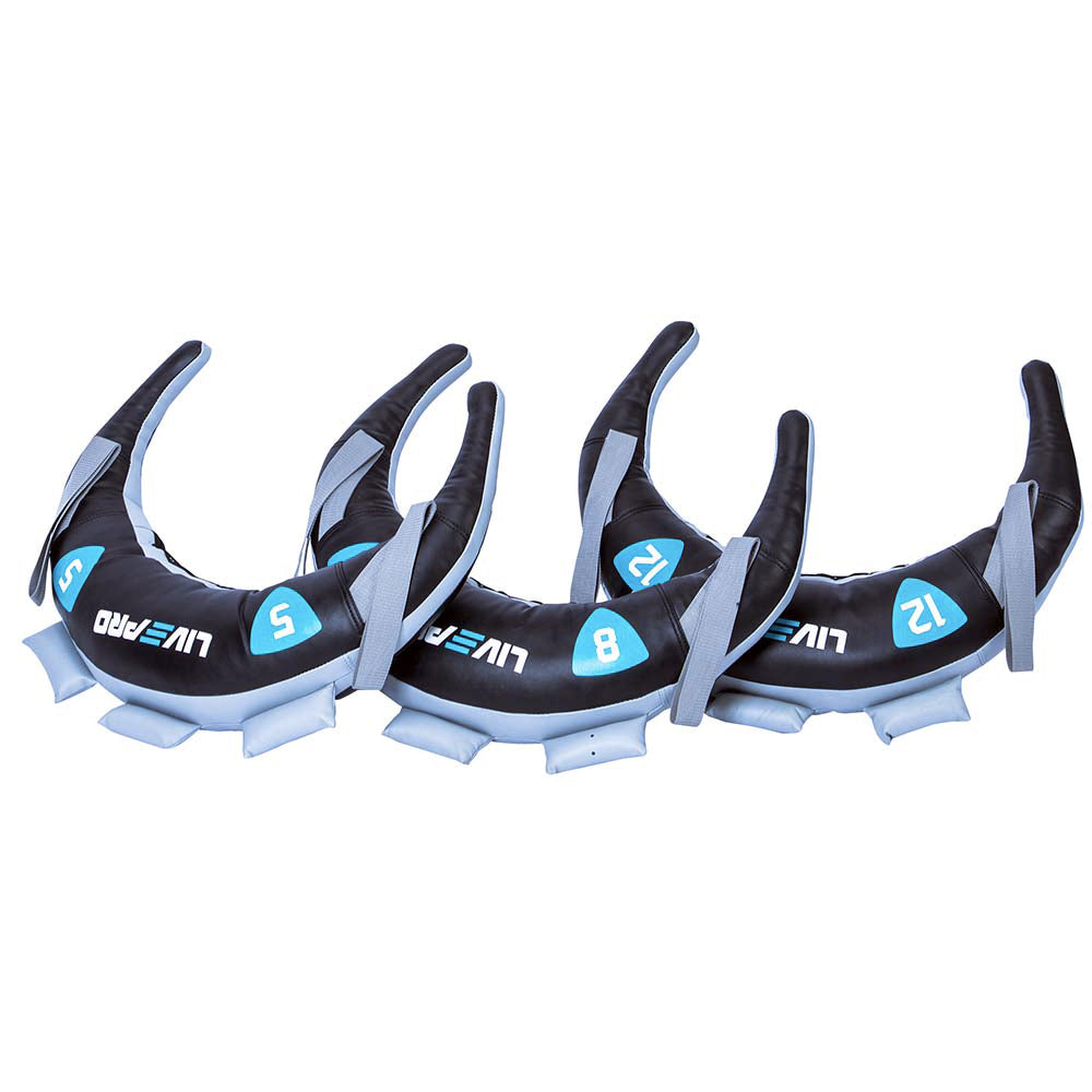 bulgarian bag exercises